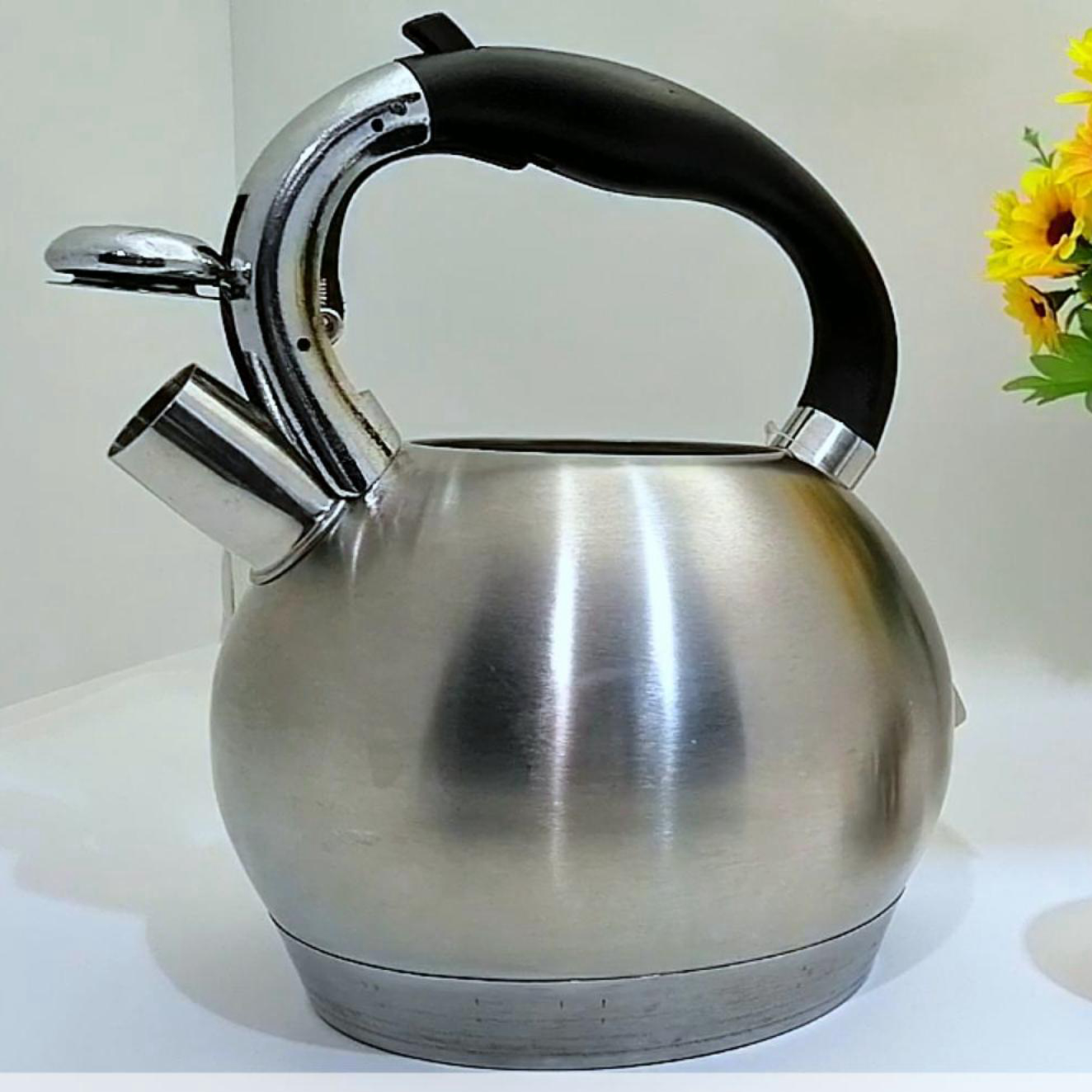 FH-200 Kettle d'eau en acier inoxydable de haute qualité