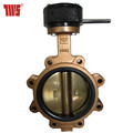 Seawater Aluminum Bronze Polished Butterfly Valve1