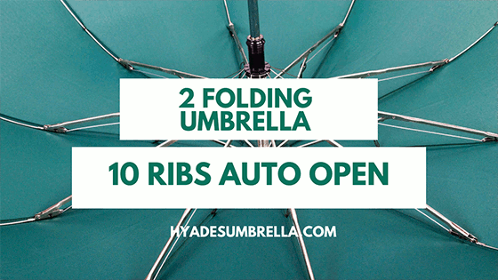 10 Ribs Auto Open 2 Folding Umbrella