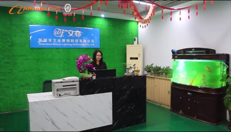 Shenzhen Wenyi Lighting Technology Co., Ltd