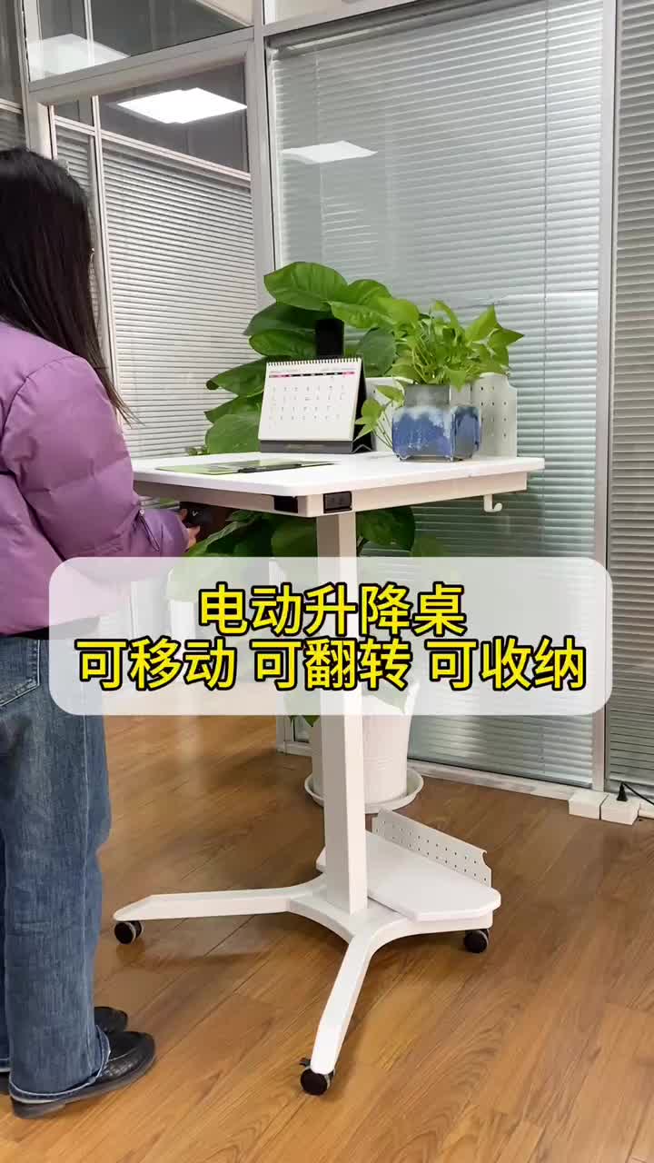 Motorized Rolling Standing Desk