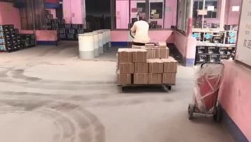 pallet truck (2)