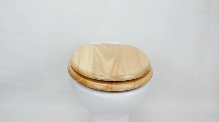 Fanmitrk Toilet seat wood soft cose