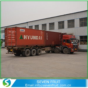 Hebei Seven Fruit Trade Co.,Ltd.
