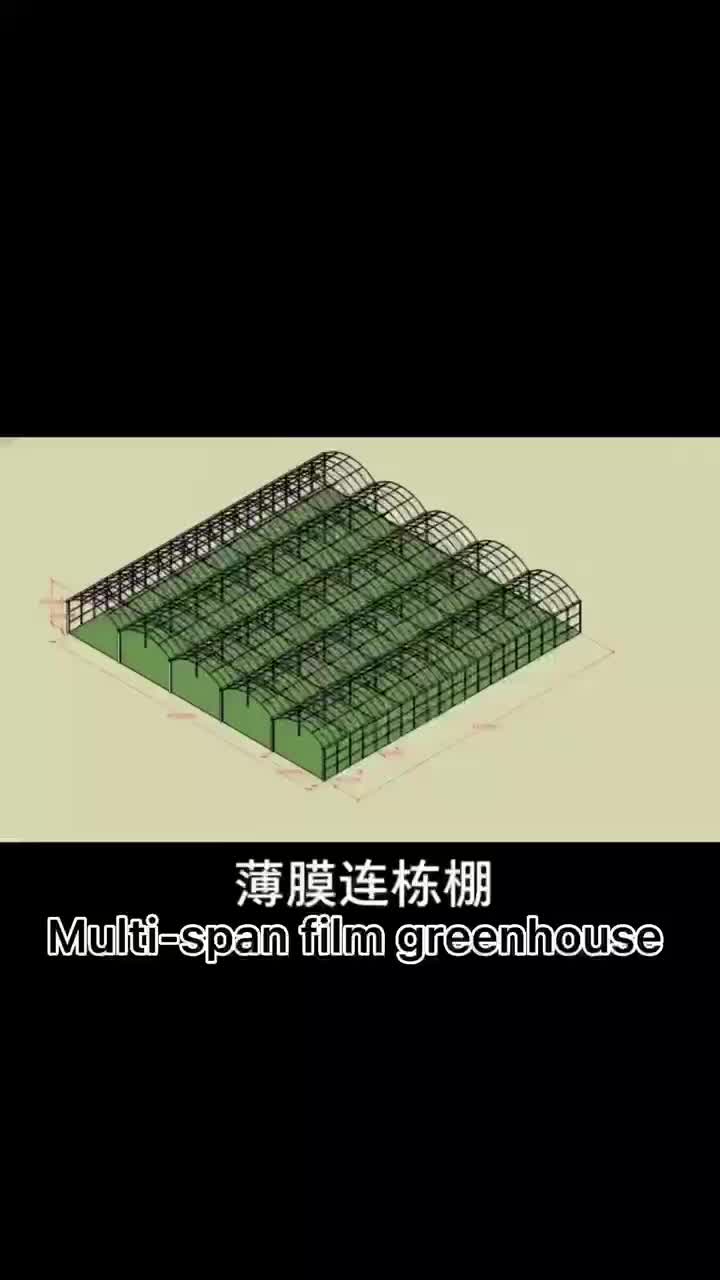 Greenhouse de style chinois Multipan Greenhouse Film Greenhouse for Cucumber Crowing1