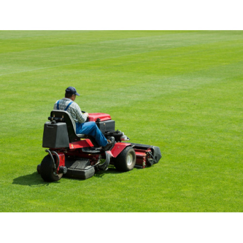 El mercado mundial de cortacésped manual de dos ruedas crece a una tasa compuesta anual del 4,3%, impulsado por la conciencia ecológica y la demanda del cuidado del césped urbano