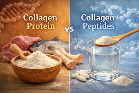 Proteína de colágeno versus peptídeos de colágeno: qual é a verdadeira diferença?