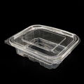 Disposable Plastic Clear Clamshell Box - Hinged Container for Fruit Salad1