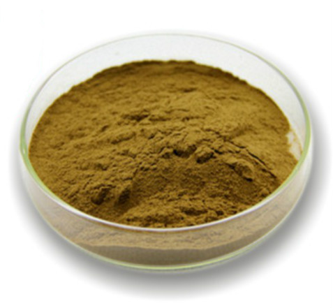 Portulaca Oleracea Extract