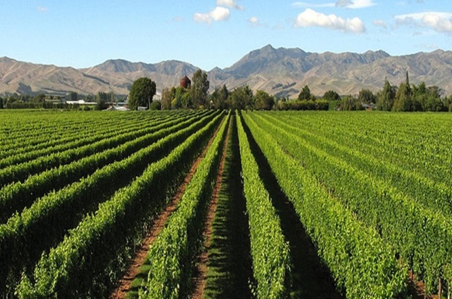 Binchuan, Yunnan, tornou-se uma importante fonte de vegetais e frutas para a Grande Área da Baía Guangdong-Hong Kong-Macau.