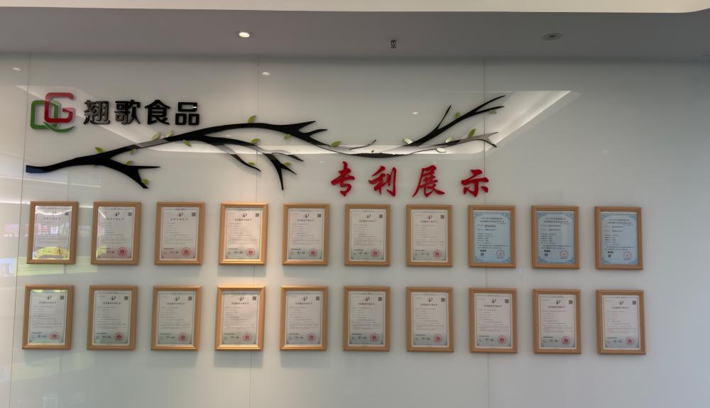 Patent Certificate