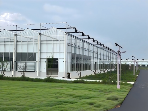 Xiaguan Project