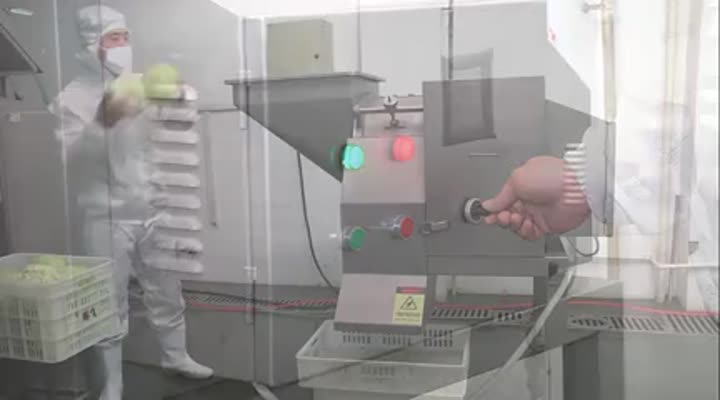 Vegetable Dicing Machine