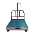 300KG Electronic Bench Scale - Precision Weighing Solution1