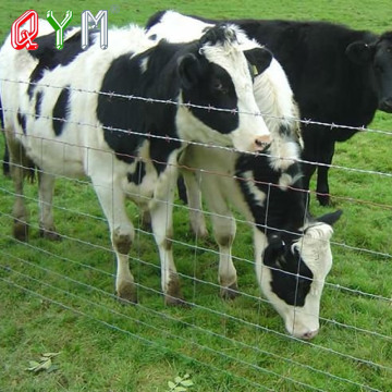 List of Top 10 Farm Field Fence Brands Popular in European and American Countries