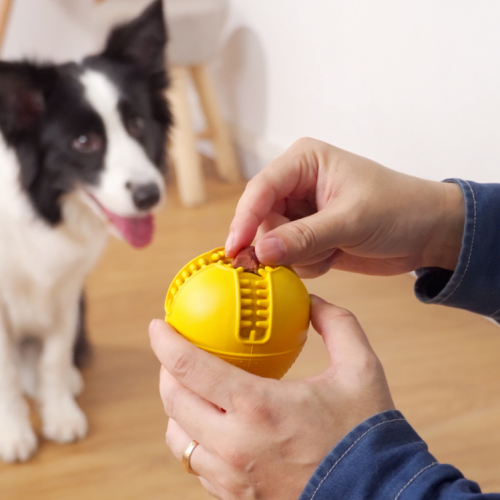 Cómo usar recompensas para el perro mejor entrenado