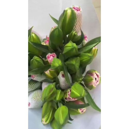 জিয়ারা ডাবল স্প্রে লিলি