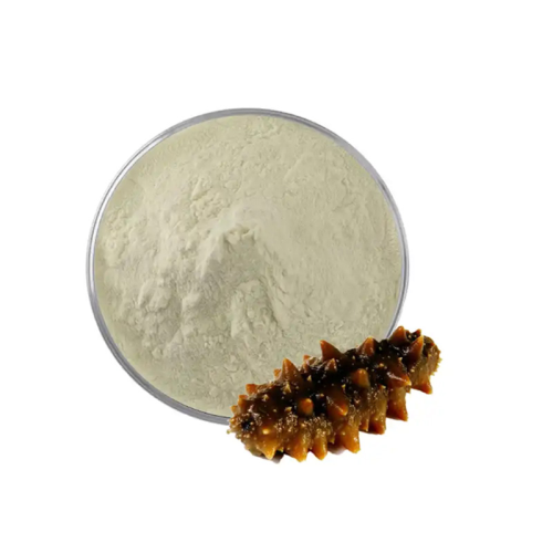 What is sea cucumber peptide?