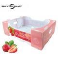 Wholesale Customized Recycled PP Corrugated Coroplast Fruit & Vegetable Boxes1