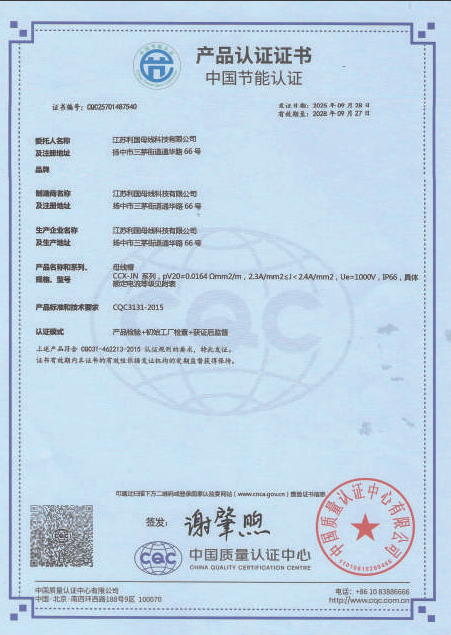 China Energy Conservation Certification Product Certification Certificate