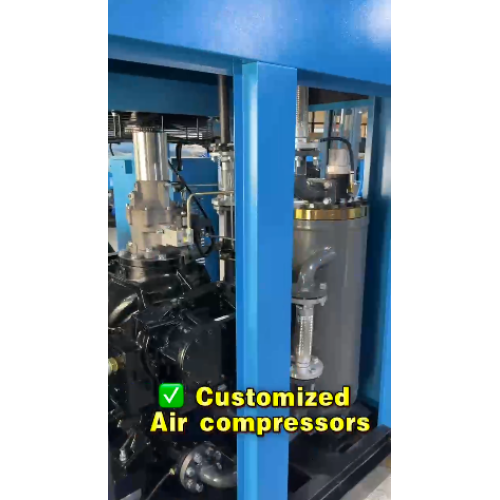 Kompresor udara besar yang dibuat khusus (bipolar)