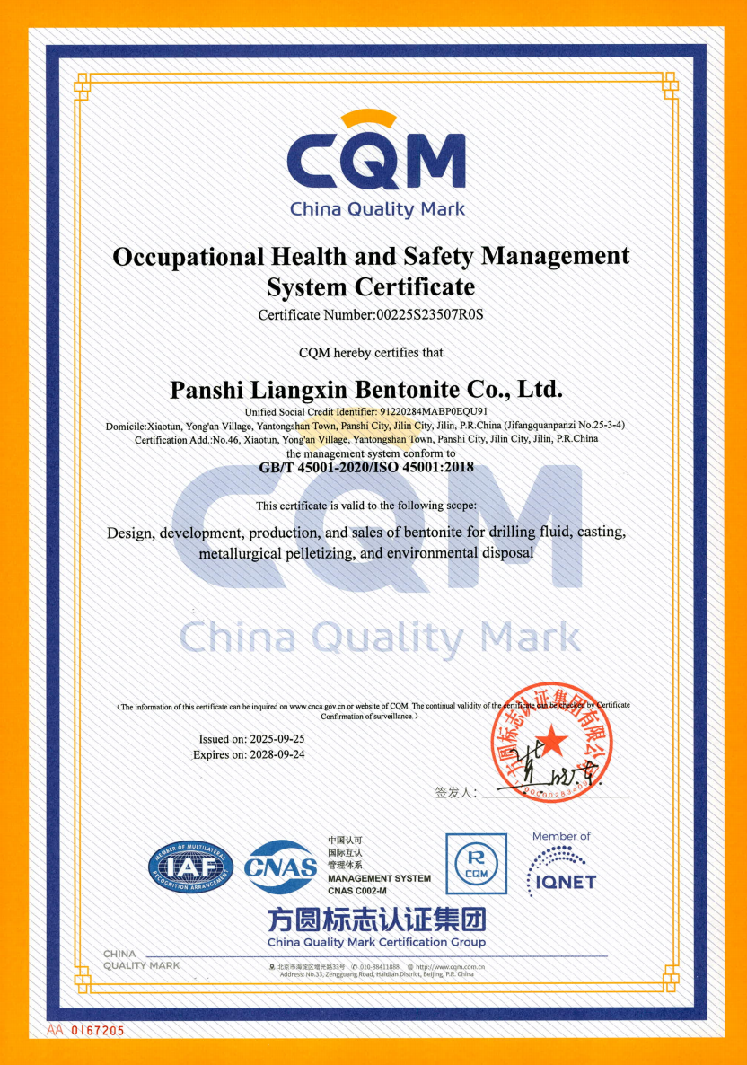 OccupationalHealthandSafetyManagement SystemCertificate