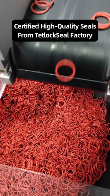Precision Seals Built for Global Industries ?