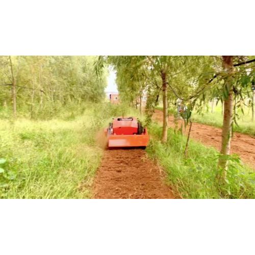 Multi-functional Remote Control Lawn Mower