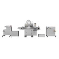 High Speed Two Color Automatic Reel Type Sticker Printing Machine (PVC/PET)1