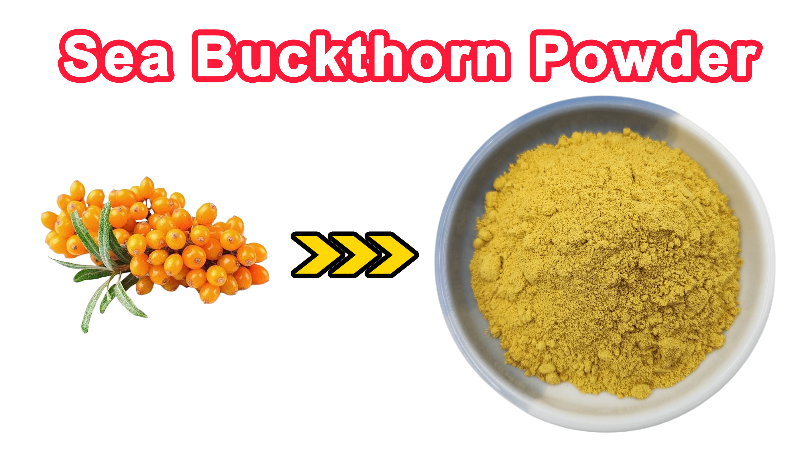 Sea Buckthorn Powder