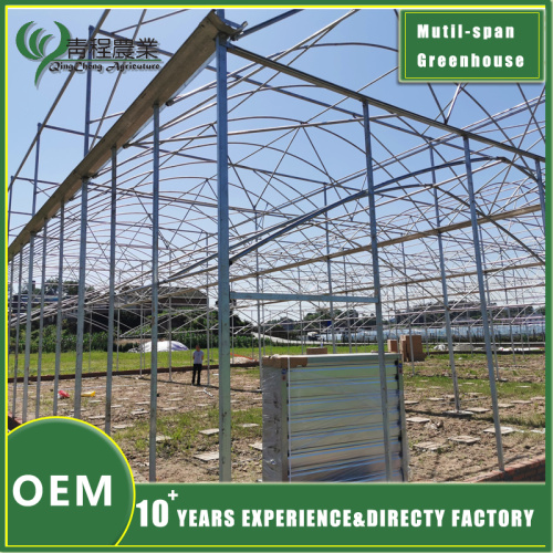 Асноўныя аспекты вытворчасці цяплічных прадуктаў