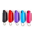 Wholesale Plastic Shell Spray Keychain Accessories for Women1