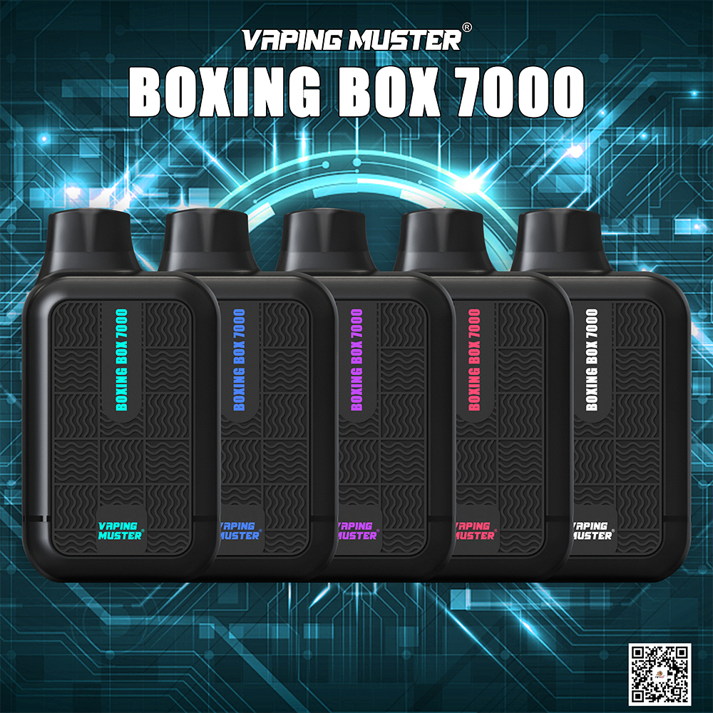 Boxbox 7000