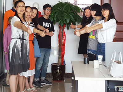 SHIJIAZHUANG MAYRAIN IE CO.,LTD.