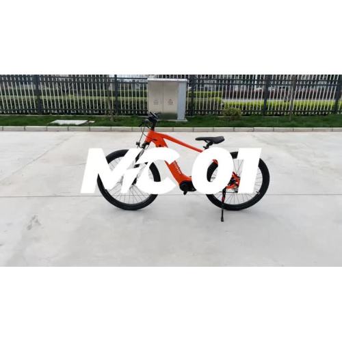 Electric mountain bike MC01_Trim