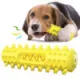 Pies żuć piszcząca zabawka do ząbkowania