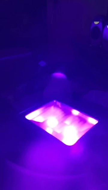 100W IP66 LED UV Floodlight with Plug Perfect for Neon Glow Blacklight Party Stage Lighting Fishing Aquarium DJ Disco Club Light1