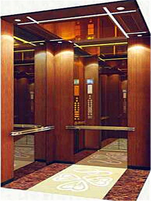 Passener Elevator lifts and Villa lift elevator