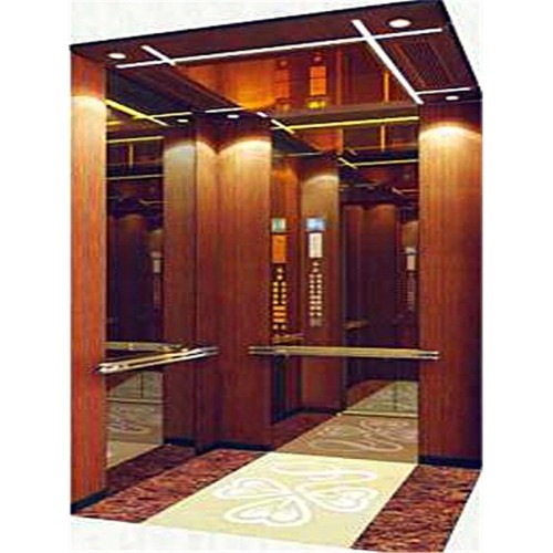 Passener Elevator lifts and Villa lift elevator