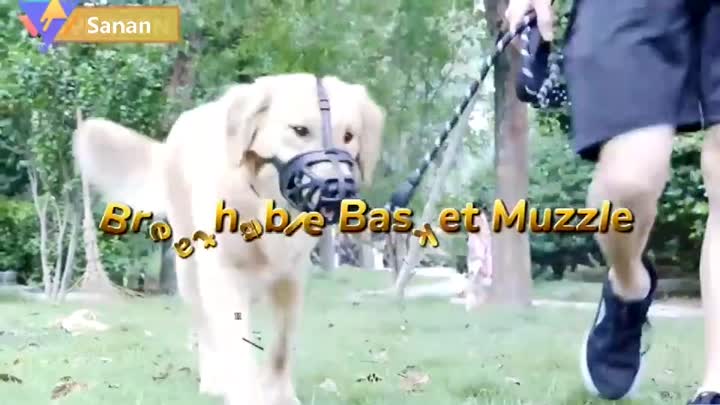 Bozal para perros de goma antiladridos seguro y creativo de alta calidad, bozal de plástico para perros, bozal de canasta suave y transpirable para perros, cubierta bucal - Compre bozales de silicona suave para perros, máscara bucal antiladridos para perr