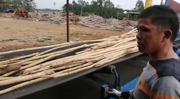 log debarker