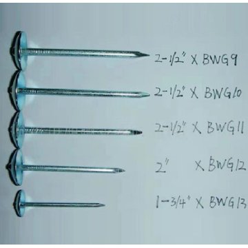 Top 10 Most Popular Chinese Steel Nails Brands