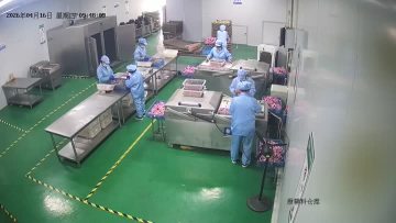 Workshop video