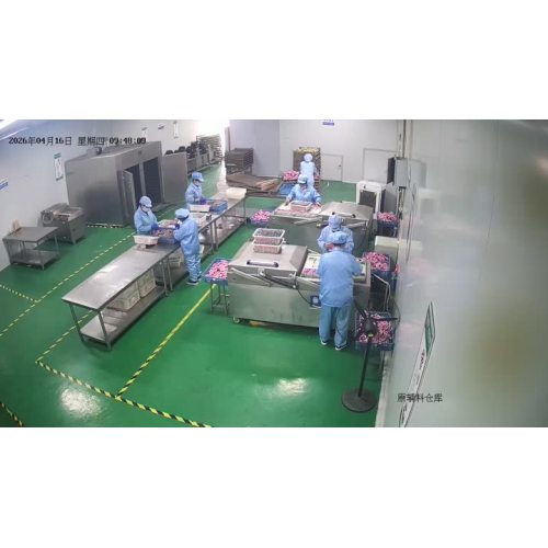 Video hội thảo