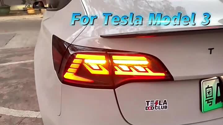 Luzes traseiras para Tesla Modelo 3 Modelo Y 2017-2021