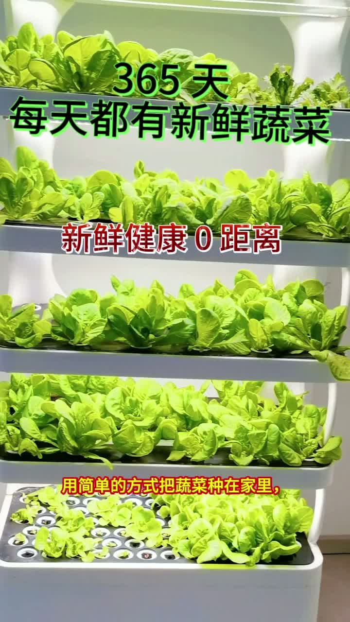 Видео выращивания овощей в домашнем кабинете