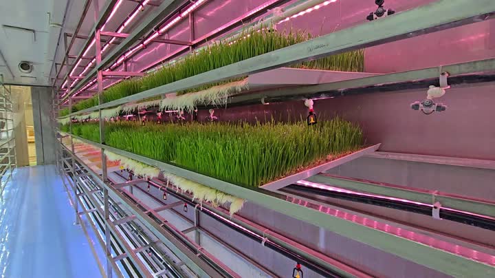 Внутреннее видео кормового контейнера 3