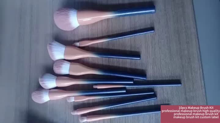 10pcs makeup brush kit