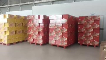 Liangtai Finished Goods Warehouse: Salted Egg Yolk, Italian Tomato & Hot Dry Noodles — All Flavors Ready to Ship