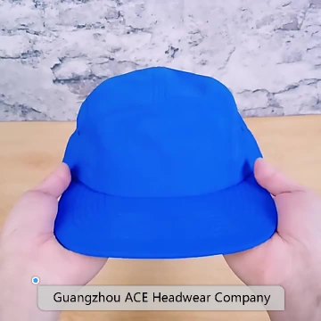 Blue Snapabck Cap